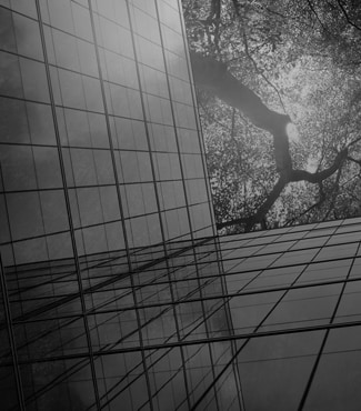 Navigate to Implementing an Effective ESG Framework