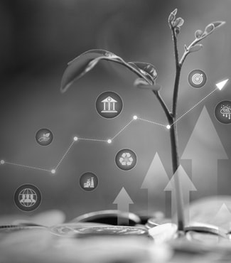 Navigate to Implementing an Effective ESG Framework
