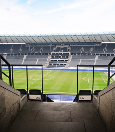 Navigate to Investing in Professional Sports Teams