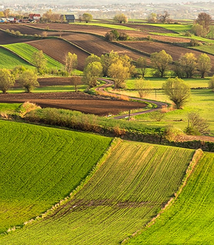 Navigate to Land and Legacy: A Conversation with John Onderdonk
