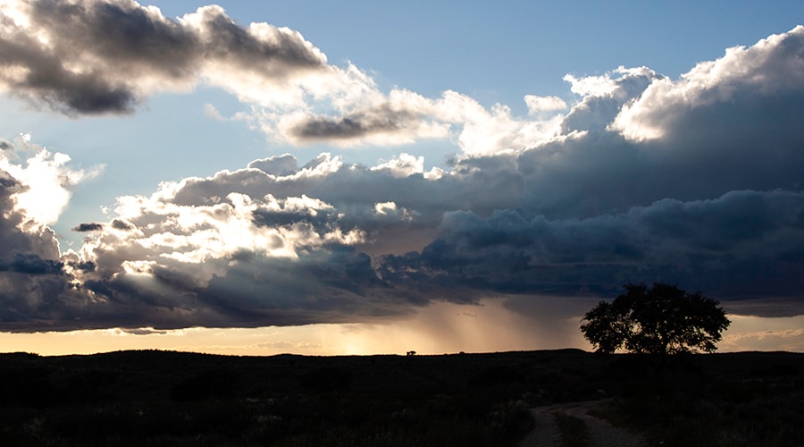 A storm on the horizon with a tree in the foreground.