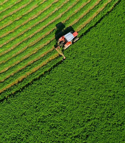 Navigate to Deducting Your Qualified Business Income After OBBBA