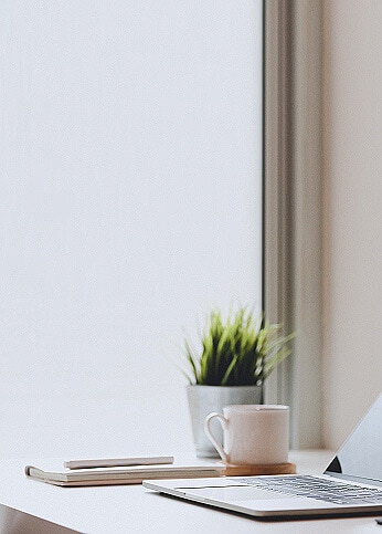 Plant and coffee mug next to an open laptop.