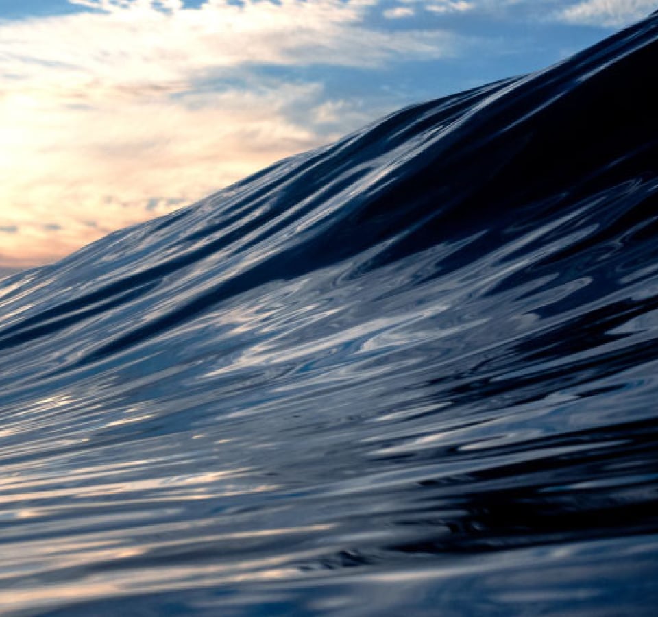 A wave cresting in the sea