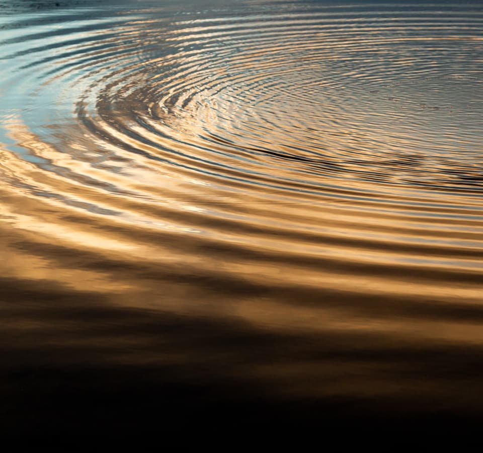 Water drop and ripple