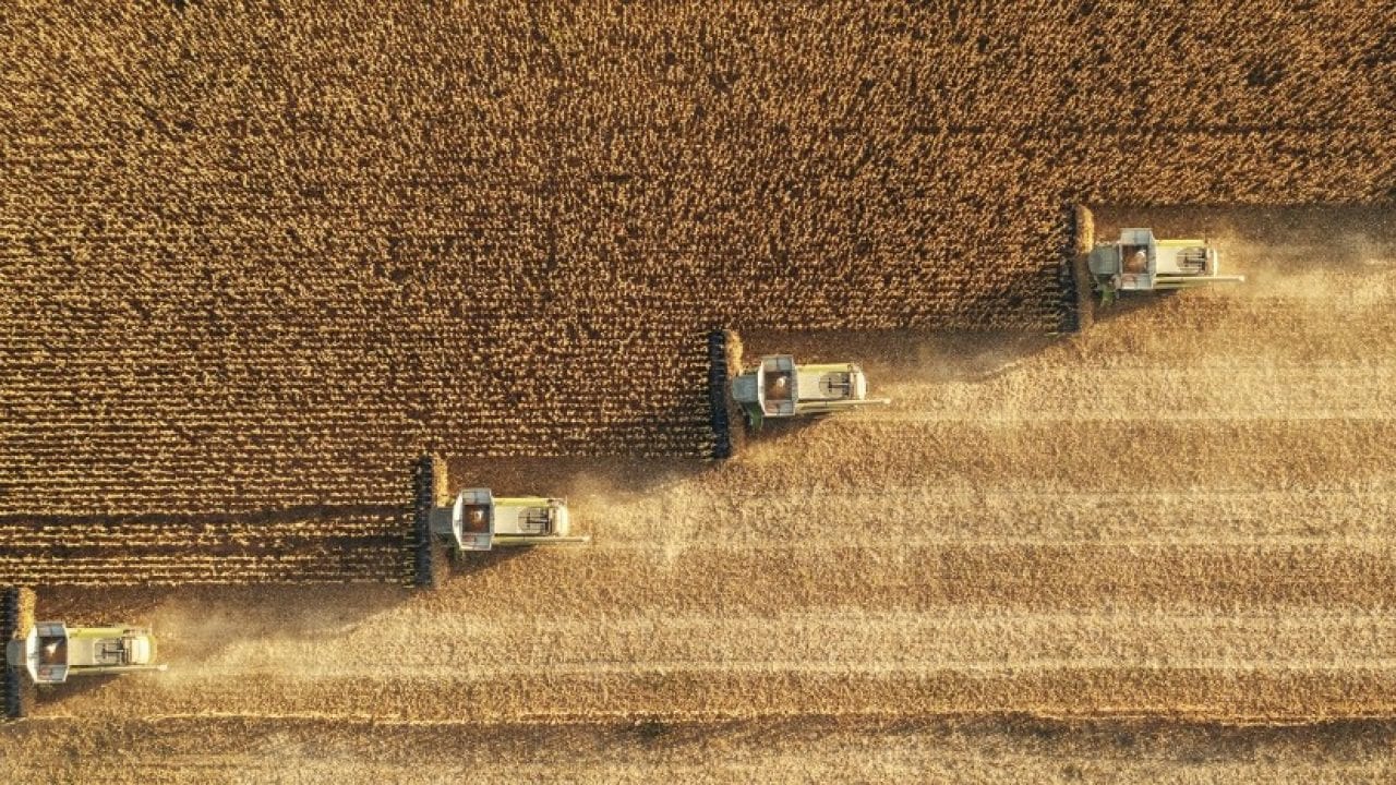 Direct Indexing: The Potential for Immediate and Continued Benefits