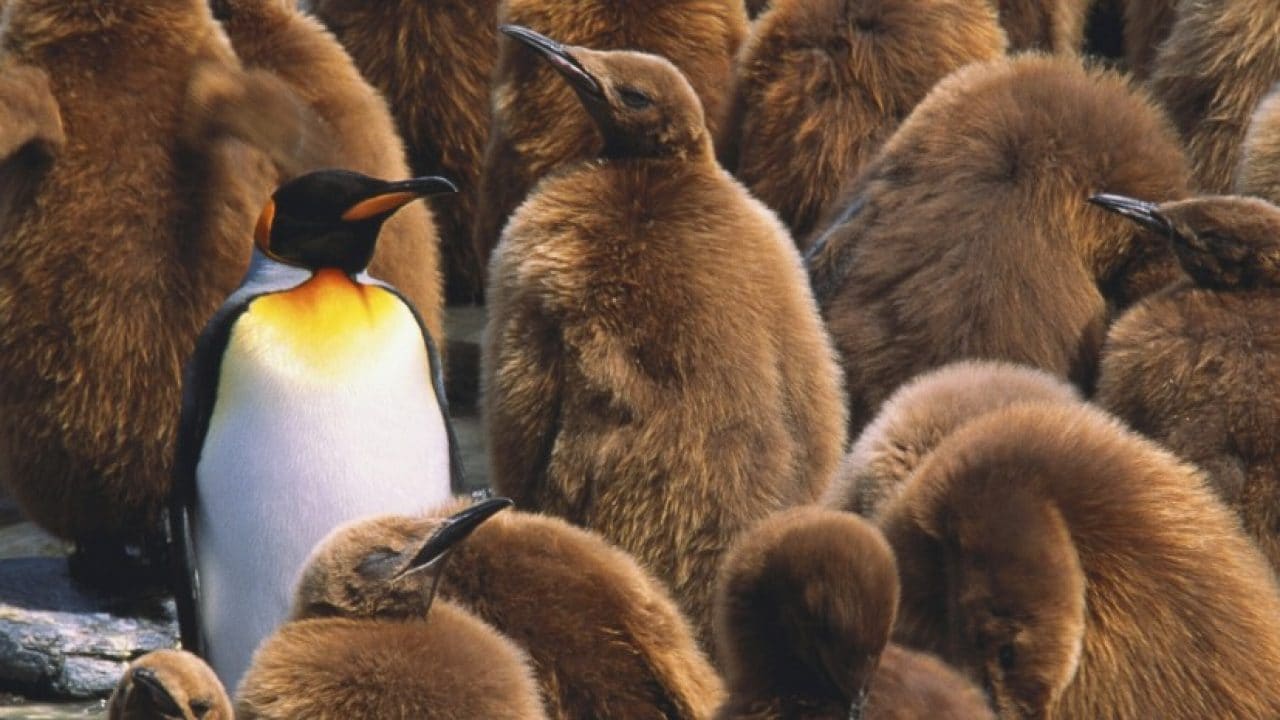 Building Business Through The Power Of Personalization