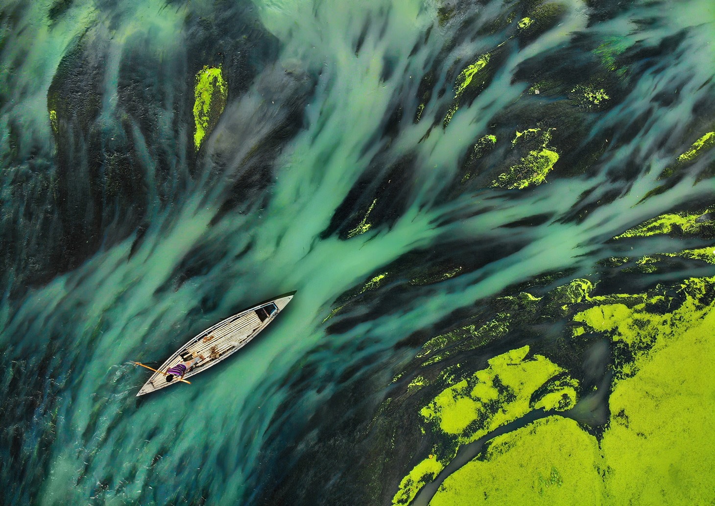 Canoe rowing through green water