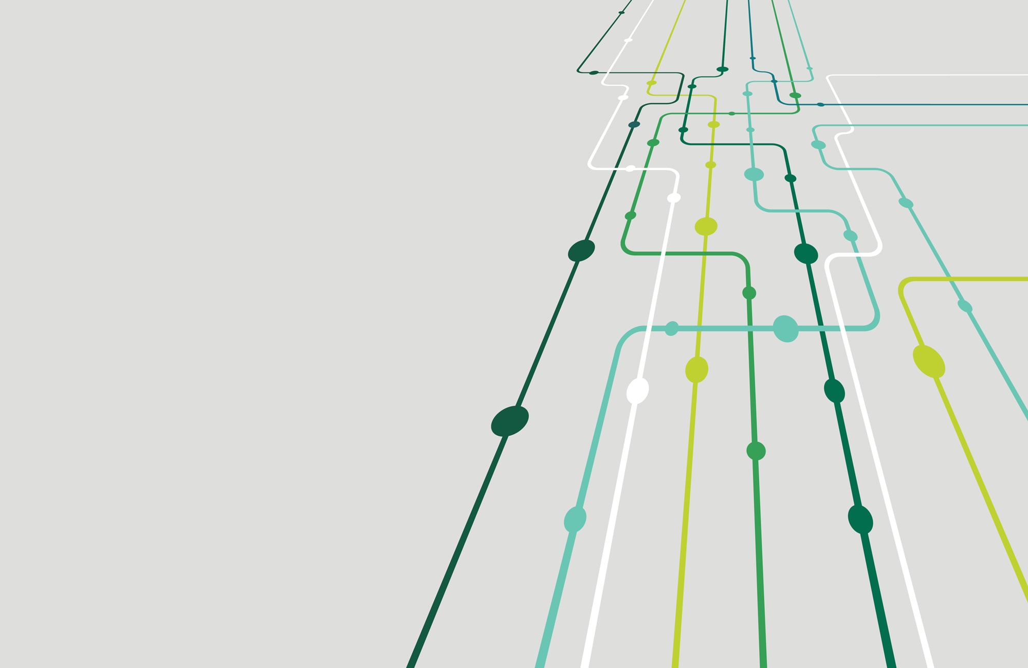 tangled web of lines and dots on subway like map