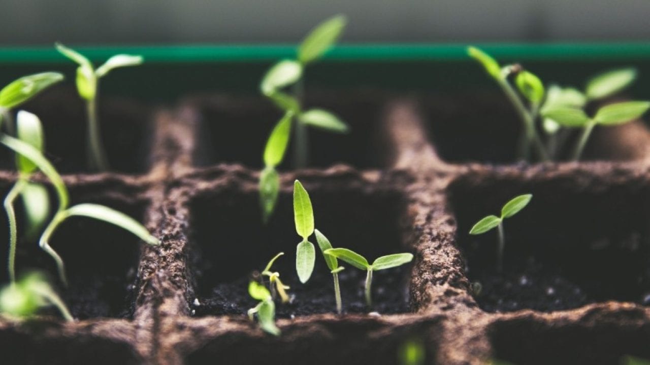 2026 Sustainable Investing Trends