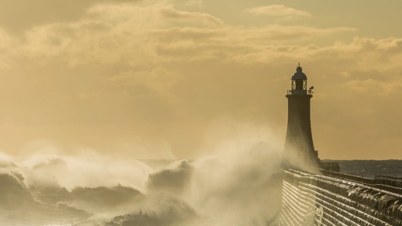 Clearing the Fog: New Narratives Worth Watching