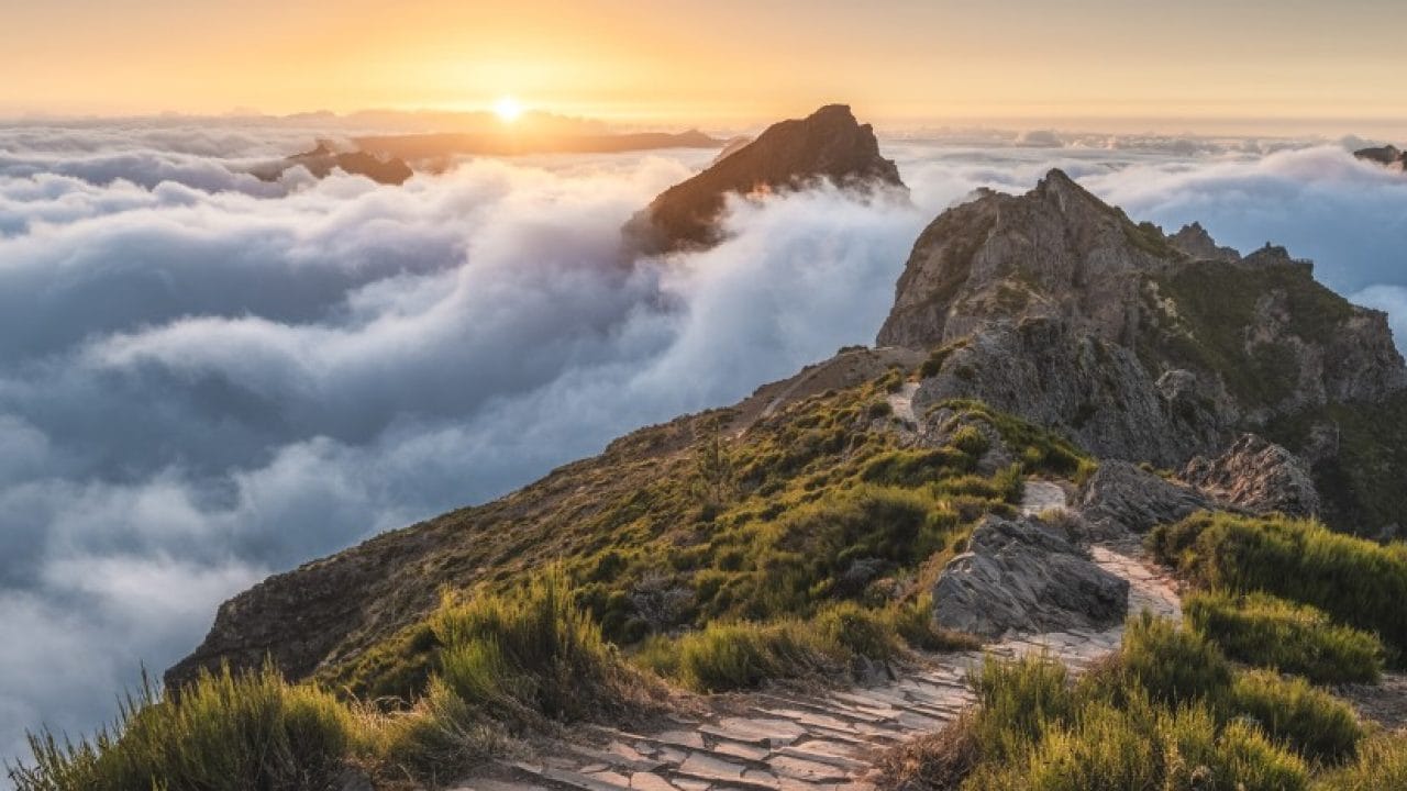 Finding Clarity in Chaos