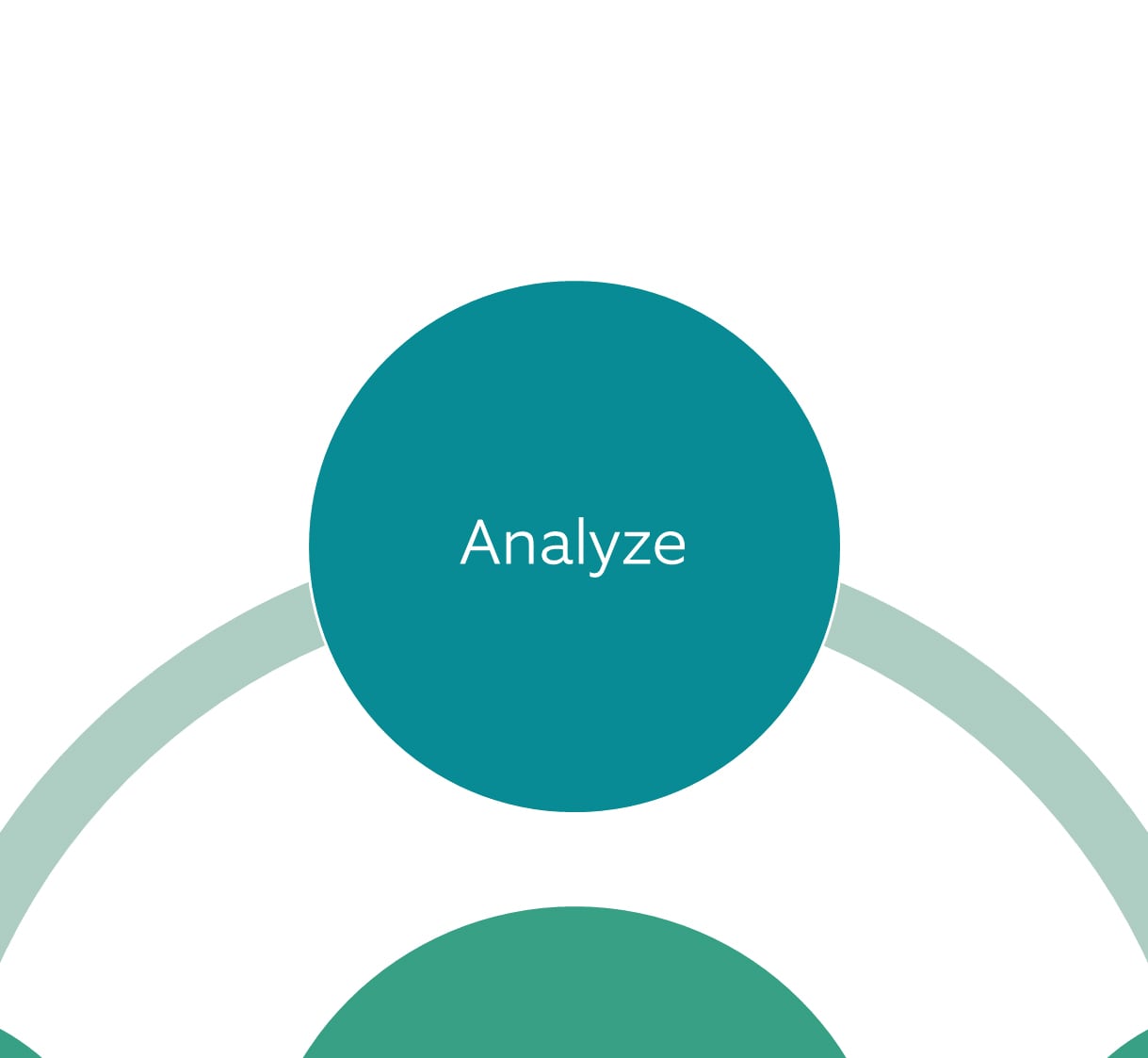 Four-step investment approach: Step 1 Analyze