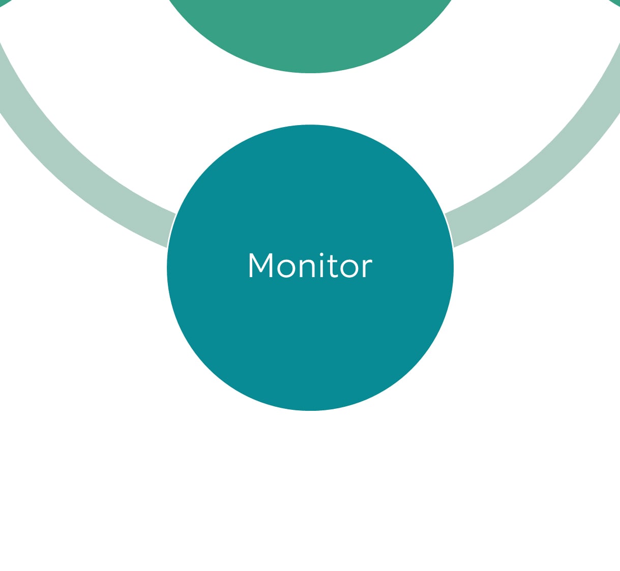 Four-step investment approach: Step 3 Monitor