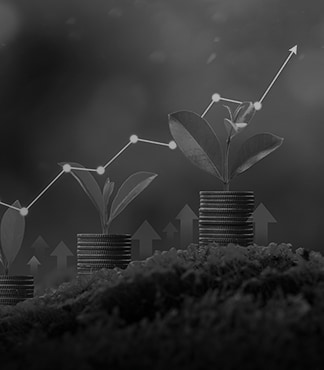 Navigate to Implementing an Effective ESG Framework