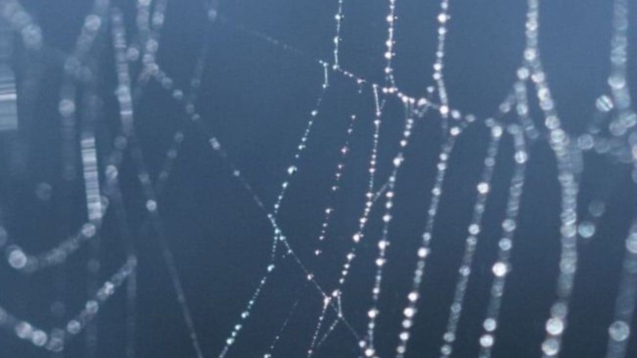 The Hidden Signals in Company Networks