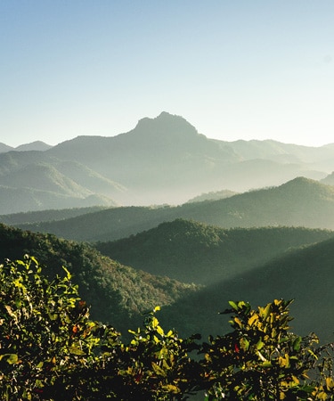 Navigate to Planning for a New Tax Landscape