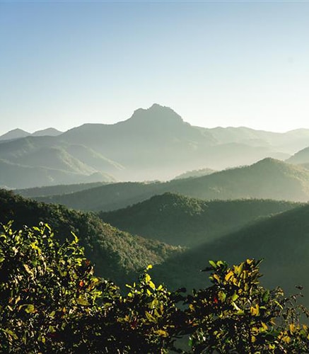 Navigate to Planning for a New Tax Landscape