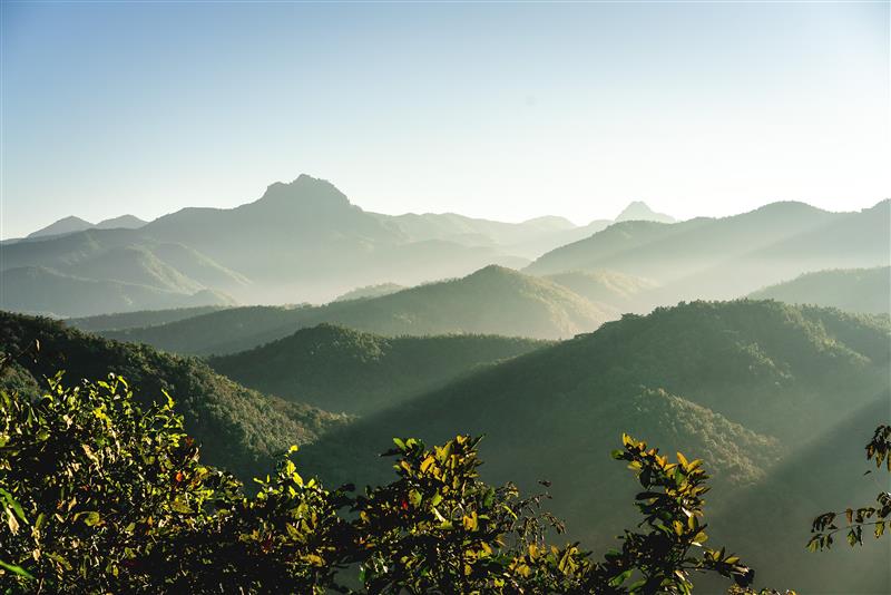 Navigate to Planning for a New Tax Landscape